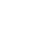 Icon Description for Insurance